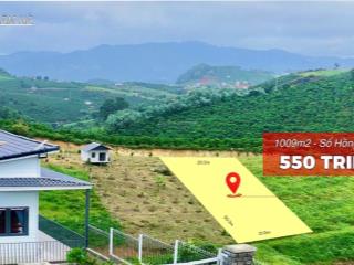 Chỉ 550 triệu sở hữu hơn 1000m2 đất xã nam hà, shr