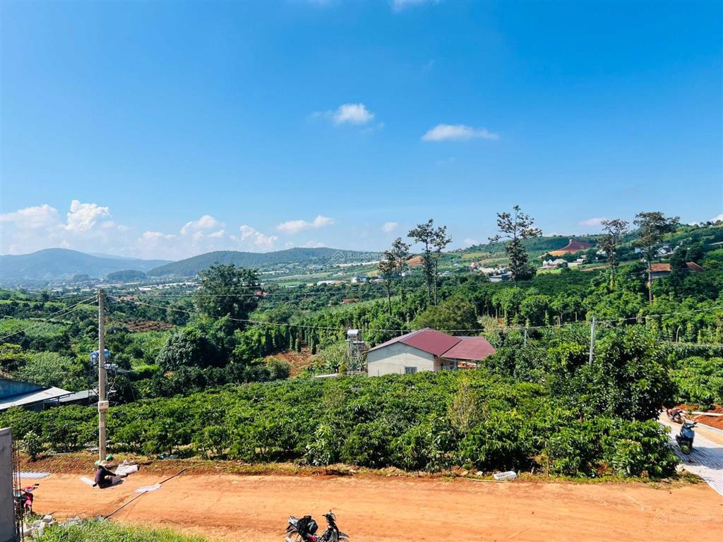 Ven đà lạt bán 354m2 đất ở đô thị, sẵn nguồn thu cafe