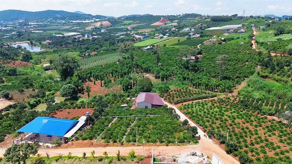 Ven đà lạt bán 354m2 đất ở đô thị, sẵn nguồn thu cafe