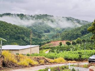 Bán 569m2 đất nam hà, vị trí chính giữa sân bay & tp đà lạt