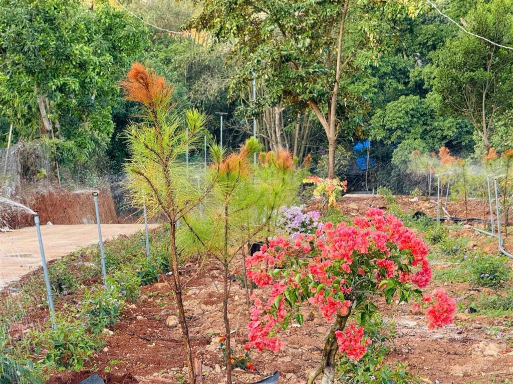 Lô đất trung tâm nam ban, cách đt 725 400m, chợ thăng long 900m, giá chỉ 790 triệu