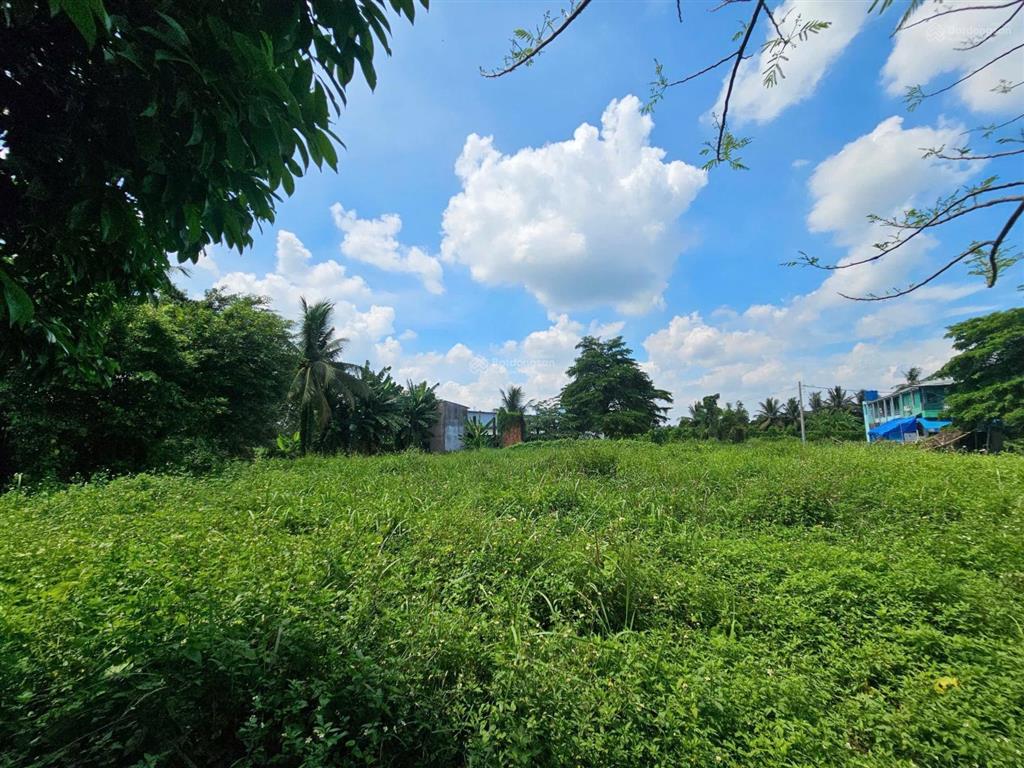 Ngân hàng thanh lý bán đất tại xã bình lợi, huyện bình chánh, tphcm giá tốt so với tiềm năng