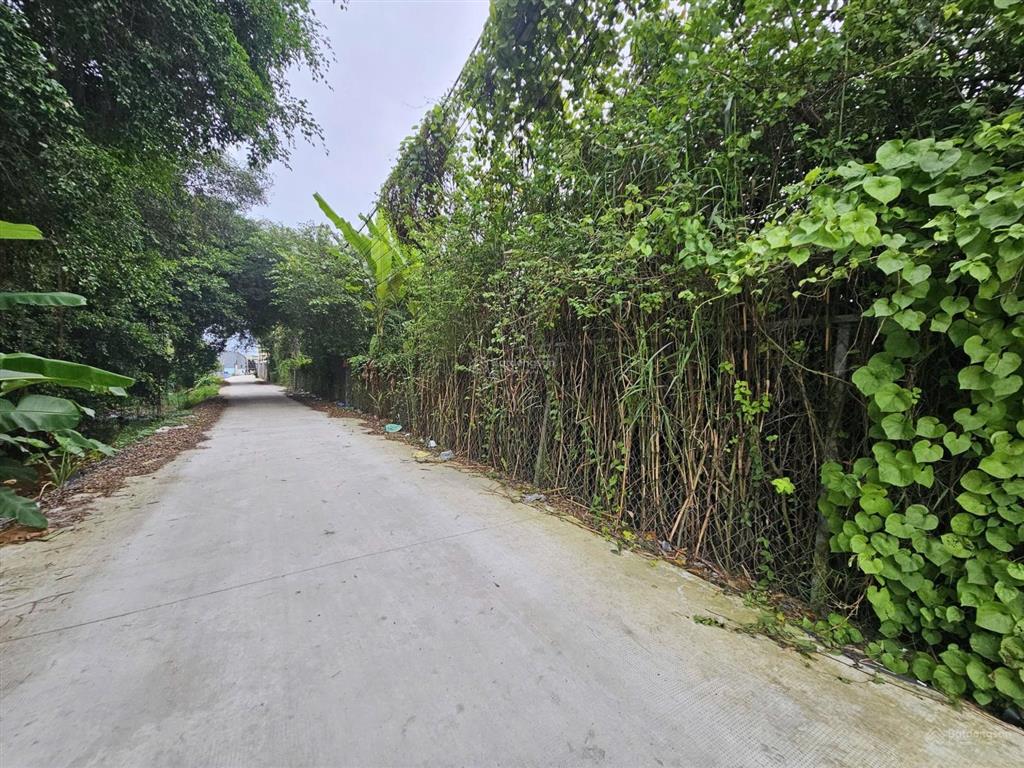 Ngân hàng thanh lý bán đất tại xã bình lợi, huyện bình chánh, tphcm giá tốt so với tiềm năng