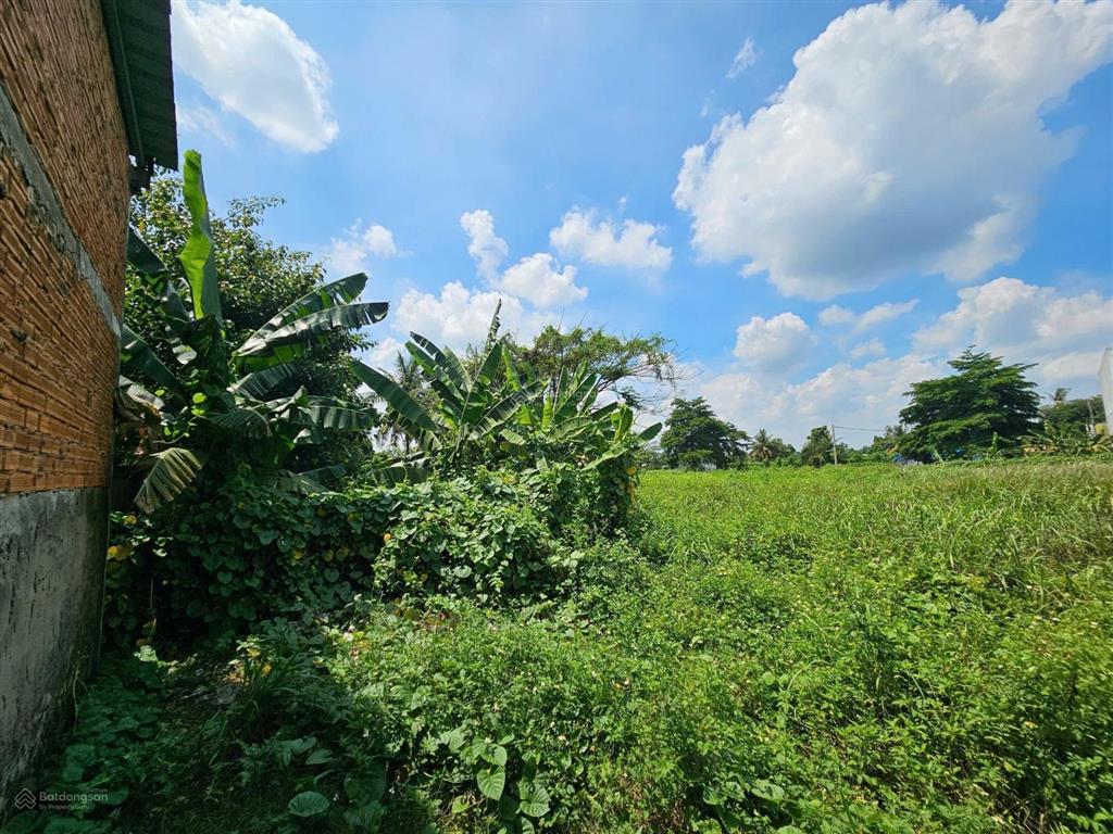 Ngân hàng thanh lý bán đất tại xã bình lợi, huyện bình chánh, tphcm giá tốt so với tiềm năng