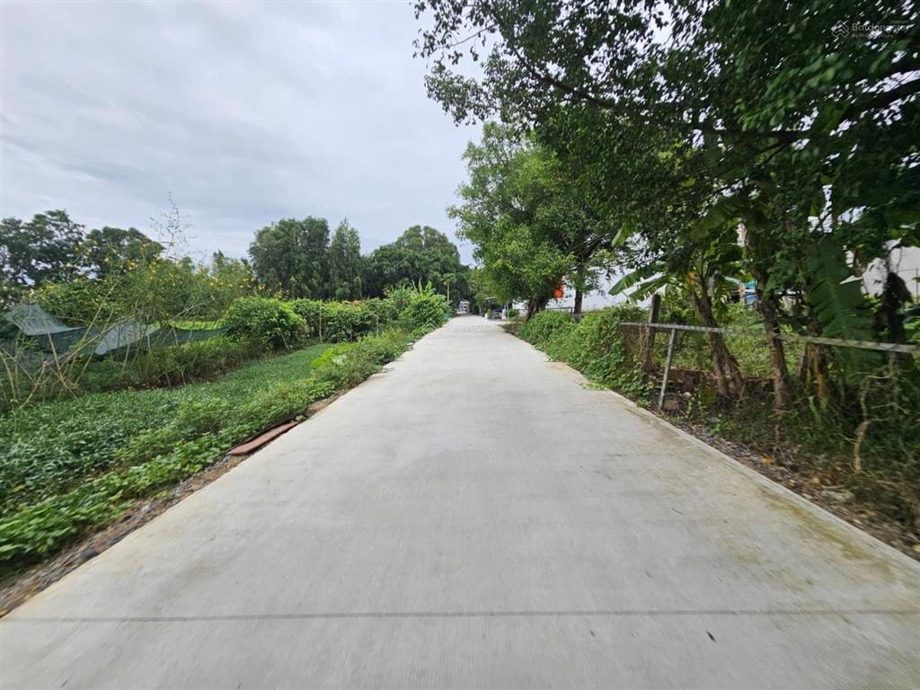 Ngân hàng thanh lý bán đất tại xã bình lợi, huyện bình chánh, tphcm giá tốt so với tiềm năng