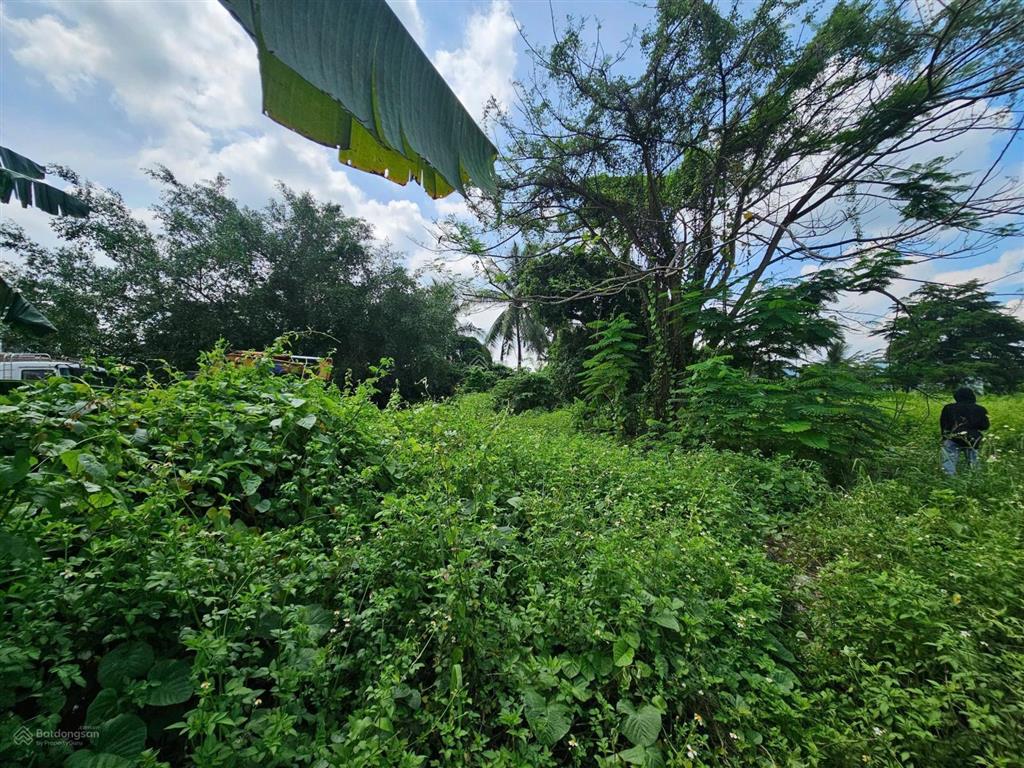 Ngân hàng thanh lý bán đất tại xã bình lợi, huyện bình chánh, tphcm giá tốt so với tiềm năng