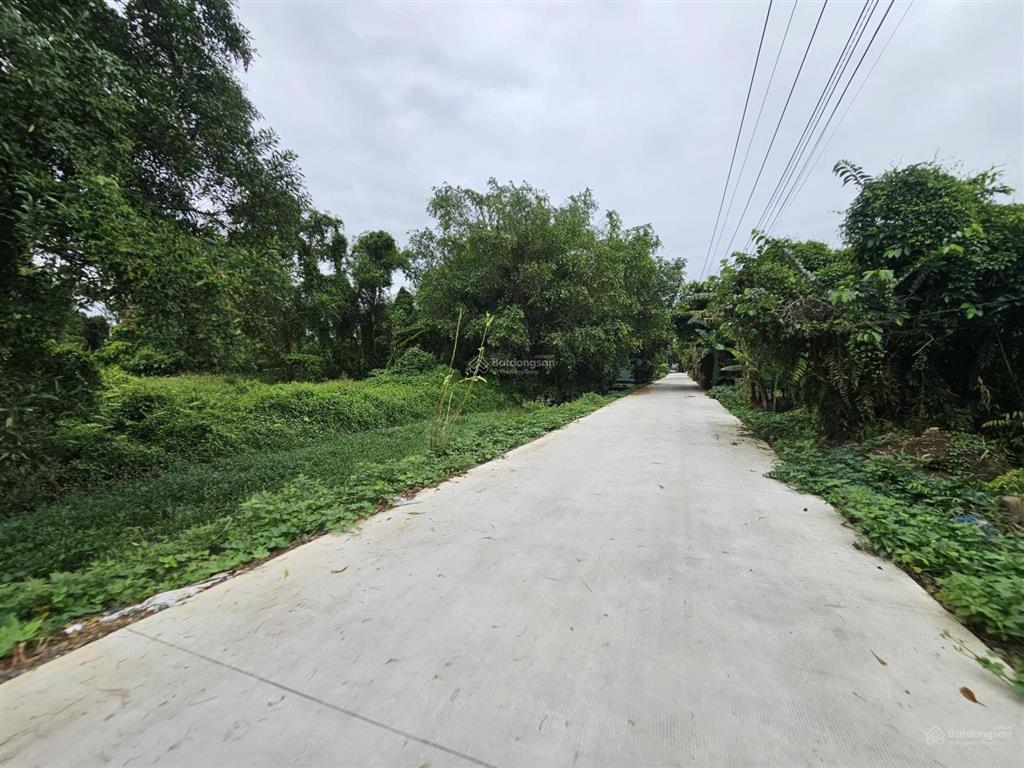 Ngân hàng thanh lý bán đất tại xã bình lợi, huyện bình chánh, tphcm giá tốt so với tiềm năng