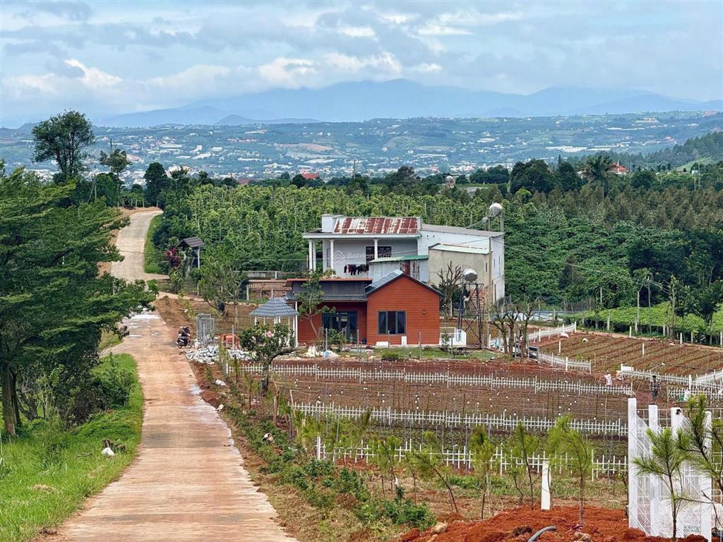 Sở hữu lô đất săn mây ven đà lạt, giá chỉ 540 triệu sẵn sổ sẵn thổ cư