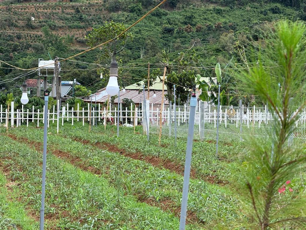 Sở hữu lô đất săn mây ven đà lạt, giá chỉ 540 triệu sẵn sổ sẵn thổ cư