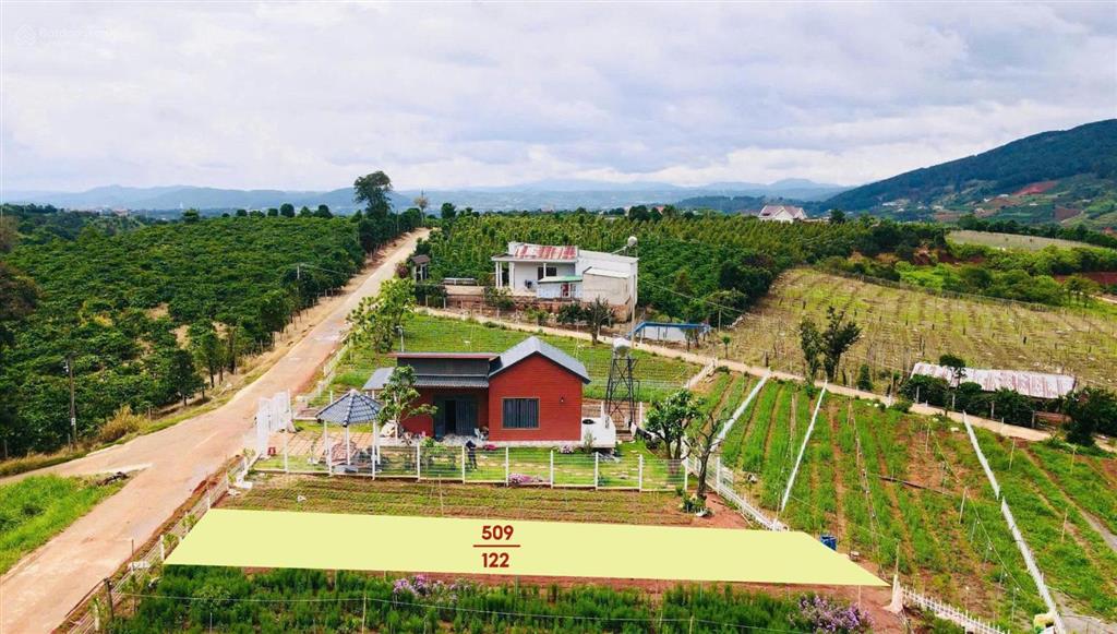 Sở hữu lô đất săn mây ven đà lạt, giá chỉ 540 triệu sẵn sổ sẵn thổ cư