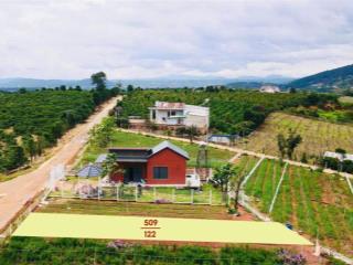 Sở hữu lô đất săn mây ven đà lạt, giá chỉ 540 triệu sẵn sổ sẵn thổ cư
