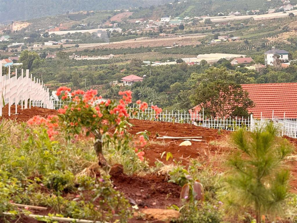 Đất ven đà lạt giá chỉ 550 triệu, liền kề khu nhà nghỉ dưỡng, view toàn cảnh thị trấn