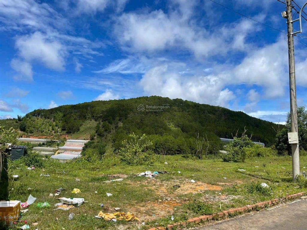 Đất biệt thự đường nhựa măng lin, phường 7, sổ riêng xây dựng, view rừng thông, giá 5,2 tỷ