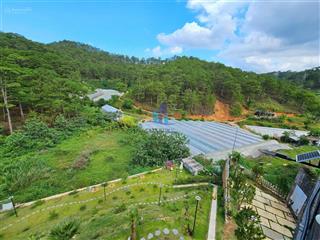 Đất xây khách sạn biệt thự đường hoàng hoa thám, tp đà lạt. view thông, đường ô tô. giá 9.1 tỷ