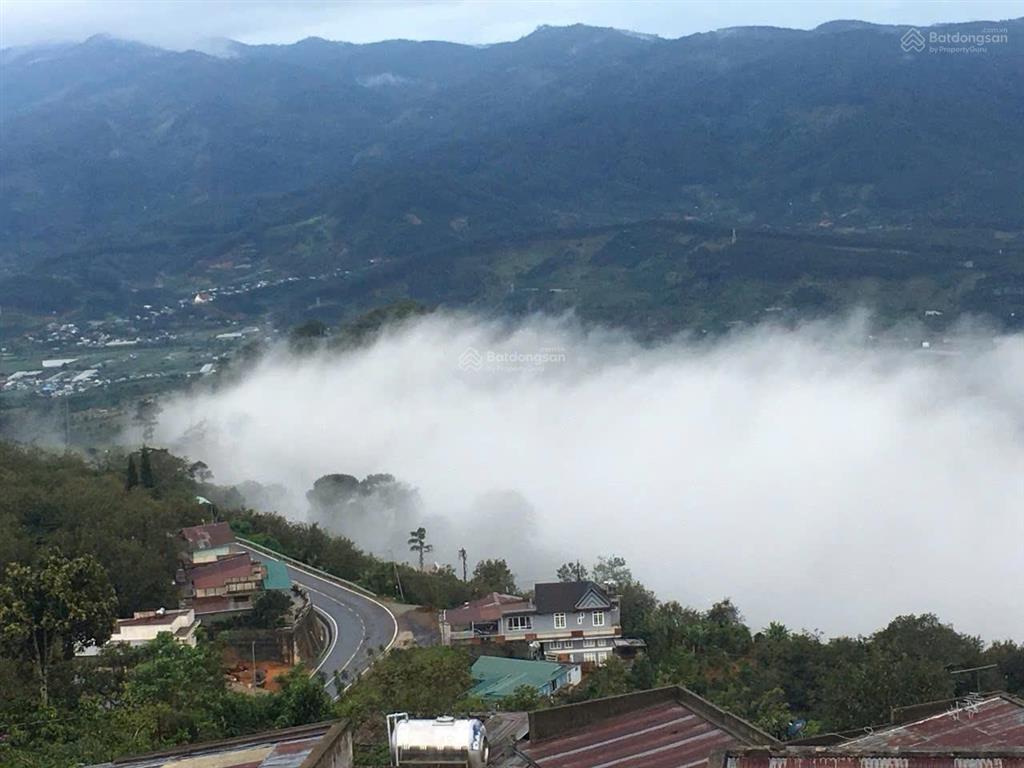Đất biệt thự trên đồi cao, view rừng thông đẹp, đường nhựa ô tô, giá 2.7 tỷ