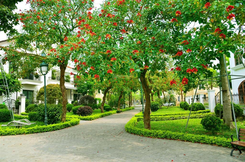 Mở bán biệt thự khu đô thị nam an khánh cạnh vinhomes thăng long