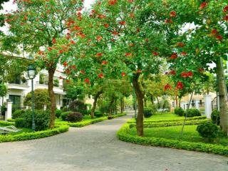 Bán biệt thự khu mới xây diện tích lớn từ 300m2800m2 tại kđt nam anh khánh cạnh vinhomes an khánh