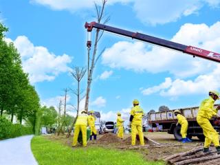 Bán liền kề và biệt thự diện tích 150m250m500m800m2 tại cạnh gleximco an khánh hoài đức