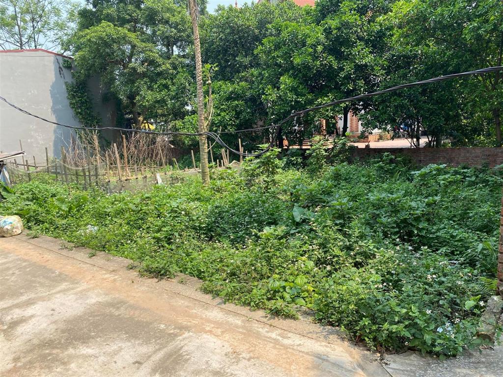 Bán gấp mảnh đất 56m² tại hải bối, đông anh. (xã vĩnh thanh)