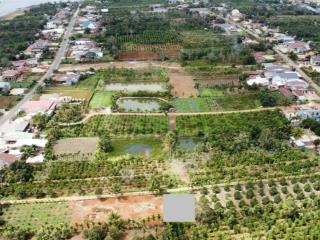 Bán lô đất ngay tỉnh lộ 690, full thổ cư, gần trung tâm hành chính cư kuin