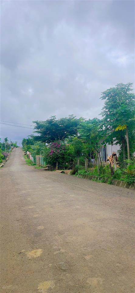 Cần bán lô đất thổ cư mặt tiền đường nhựa nguyễn minh châu, phường thống nhất, buôn hồ