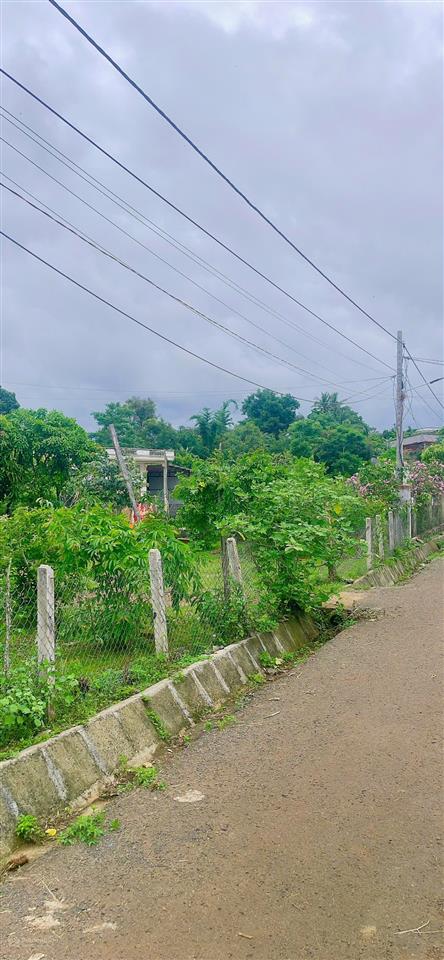 Cần bán lô đất thổ cư mặt tiền đường nhựa nguyễn minh châu, phường thống nhất, buôn hồ