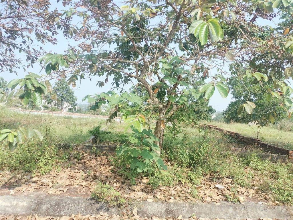 Bán 100m2 đất tái định cư vai réo, mt 6.6m đường thông kinh doanh, gần khu đô thị bắc phú cát city