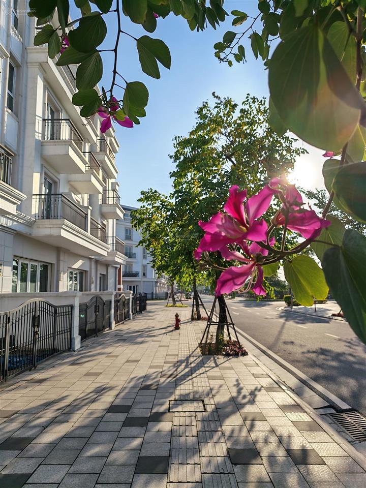 Chính chủ gửi bán căn góc kinh doanh cực tốt, mặt tiền 26m, đường đi thẳng lên hồ điều hòa!!