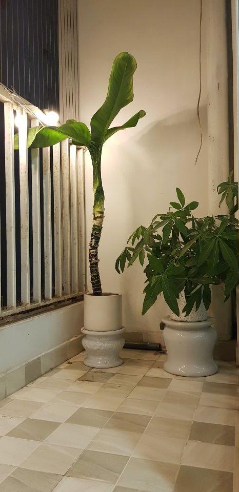 QUỸ CĂN TRUNG HOÀ NHÂN CHÍNH BÁN, 50-180M2; 1-3 NGỦ, 1-3 VS. SỔ ĐỎ. 4,55-21 TỶ. 0907 833 787