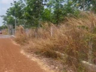 Bán đất trang trại 24.000m² xã hiếu liêm, bắc tân uyên  có nhà yến, cao su 4 tuổi,giá thương lượng