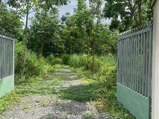 Chính chủ sang nhượng đất vườn 3 mặt tiền hiếu liêm  có nhà yến mới xây, cao su 4 năm tuổi