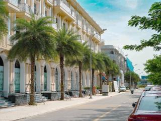 Bán biệt thự d'. metropole hà tĩnh, giá siêu hời 13 tỷ, 180m2, 4pn, 4wc