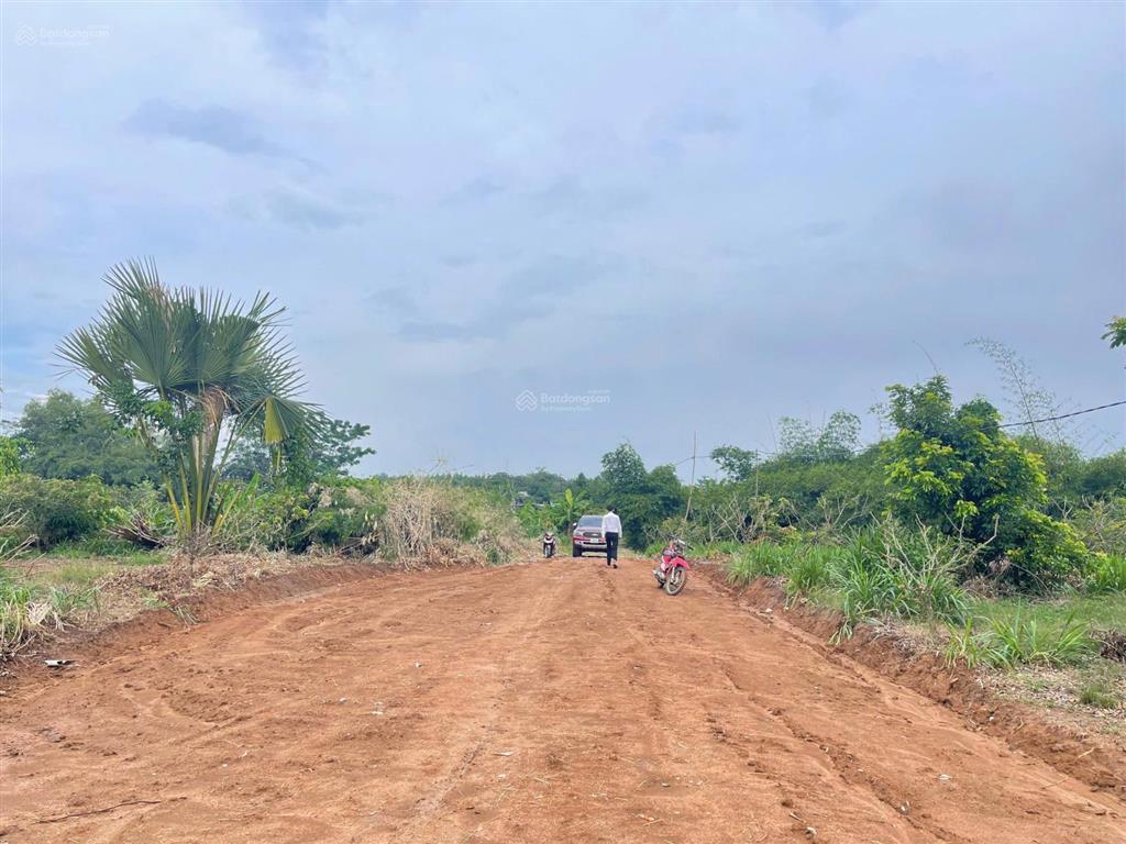 Bánđất có  vườn nhãn, suối. phù hợp làm nhà vườn biệt thự nghỉ dưỡng, resort mini, homestay