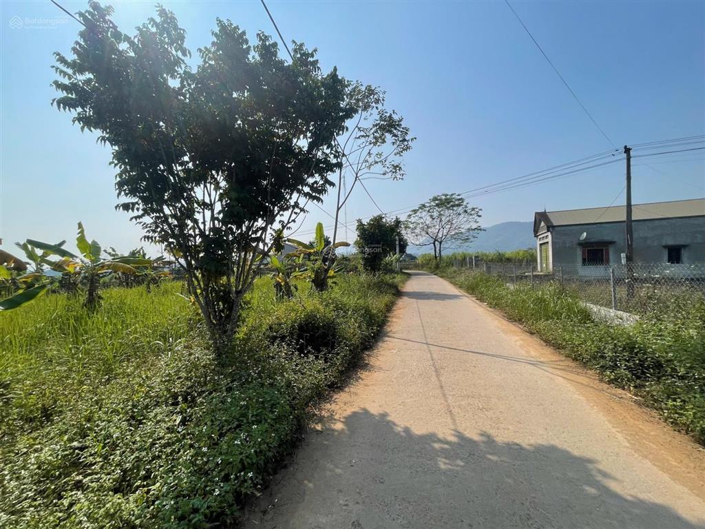 Bán 2000m2 1000m2 ont tại cao phong, hoà bình