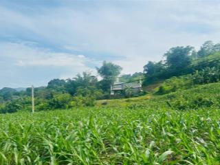 Chính chủ gửi. bán lô đất tại cao phong  hoà bình bám đường hơn 100m