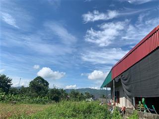 Chủ cần tiền bán nhanh lô đất đối diện chợ trung tâm mường thành tỉnh phú thọ, giá chỉ 6xxtr