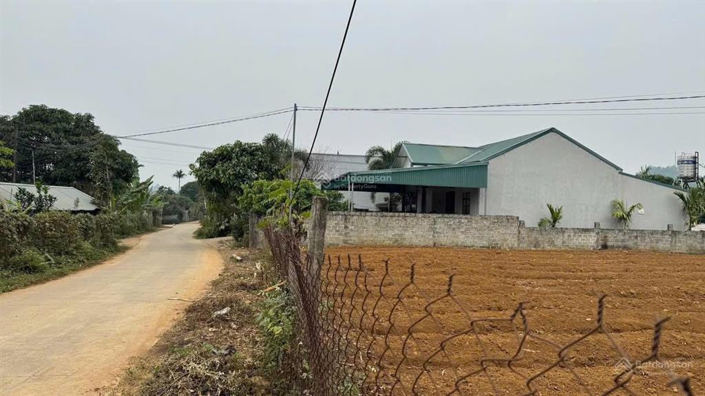 Cơ hội đầu tư vị trí đất đẹp tiềm năng tại hợp phong, cao phong, hoà bình chỉ hơn 500tr