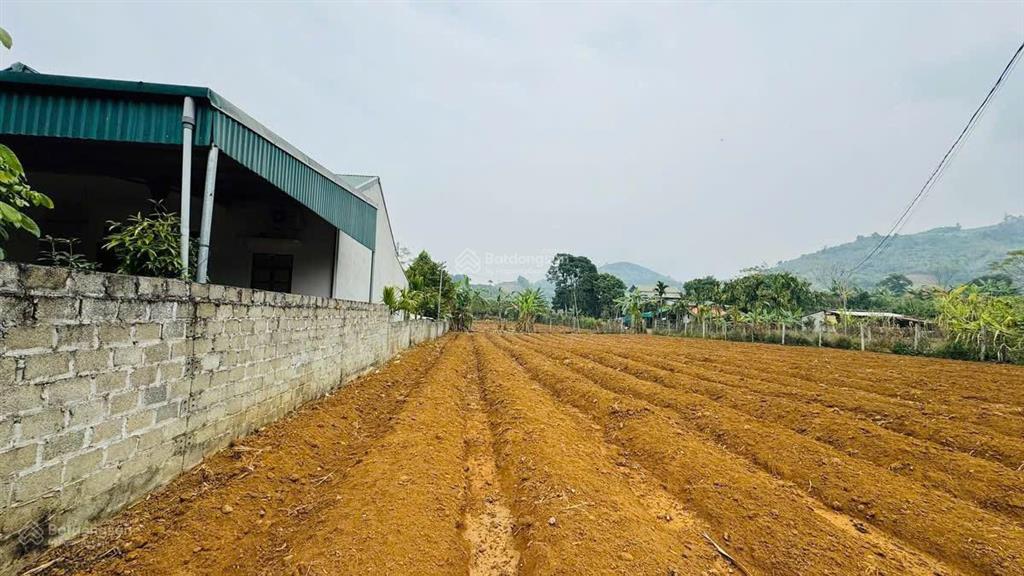 Cơ hội đầu tư vị trí đất đẹp tiềm năng tại hợp phong, cao phong, hoà bình chỉ hơn 500tr