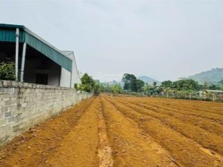 Cơ hội đầu tư vị trí đất đẹp tiềm năng tại hợp phong, cao phong, hoà bình chỉ từ 560 triệu