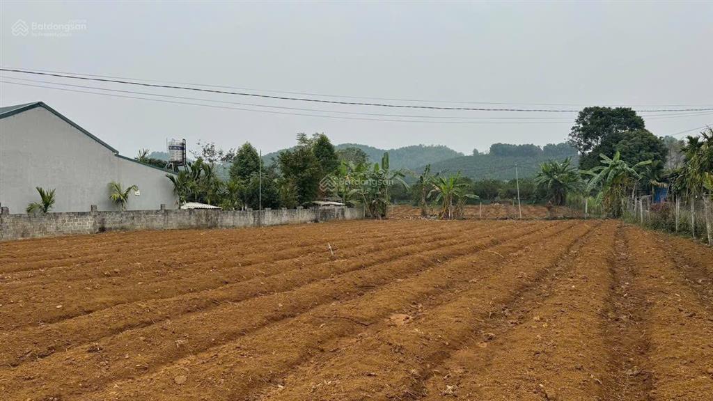 Cơ hội đầu tư vị trí đất đẹp tiềm năng tại hợp phong, cao phong, hoà bình chỉ hơn 500tr
