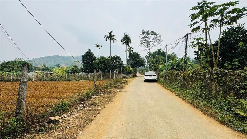 Cơ hội đầu tư vị trí đất đẹp tiềm năng tại hợp phong, cao phong, hoà bình chỉ hơn 500tr