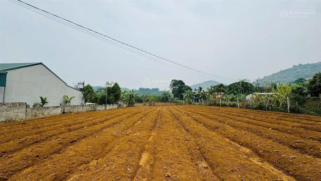 Cơ hội đầu tư vị trí đất đẹp tiềm năng tại hợp phong, cao phong, hoà bình chỉ hơn 500tr