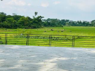 Bán đất tại đông yên, quốc oai, hà nội, giá ưu đãi 25 triệu / 1m2, diện tích 100 m2 view thoáng mát