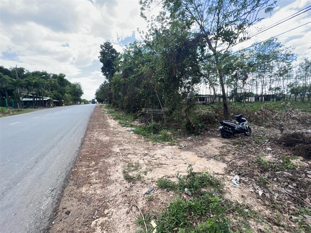 Cần bán hơn 1,5 mẫu đất mặt tiền dt 742 xã bình mỹ tân uyên bình dương