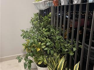 Căn góc có ban công full nội thất 8 triệu tại chung cư west gate an gia