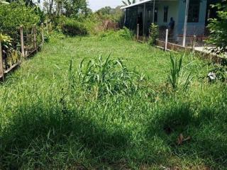Em có lô đất gần nhà hàng hương đồng (xã trường bình, cần giuộc) 110m2  0374 673 ***