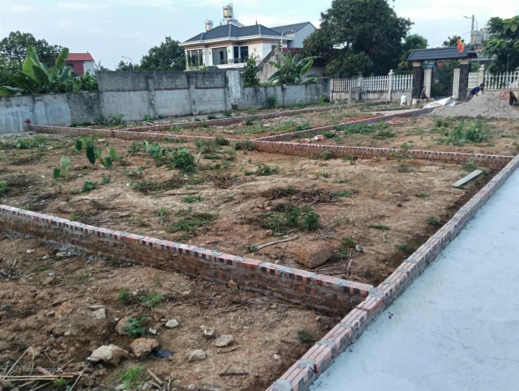 Đất sơn đông, sơn tây sổ đỏ full thổ cư. đường rộng 4m, ô tô 7 chỗ vào tận đất. gần quốc lộ 21