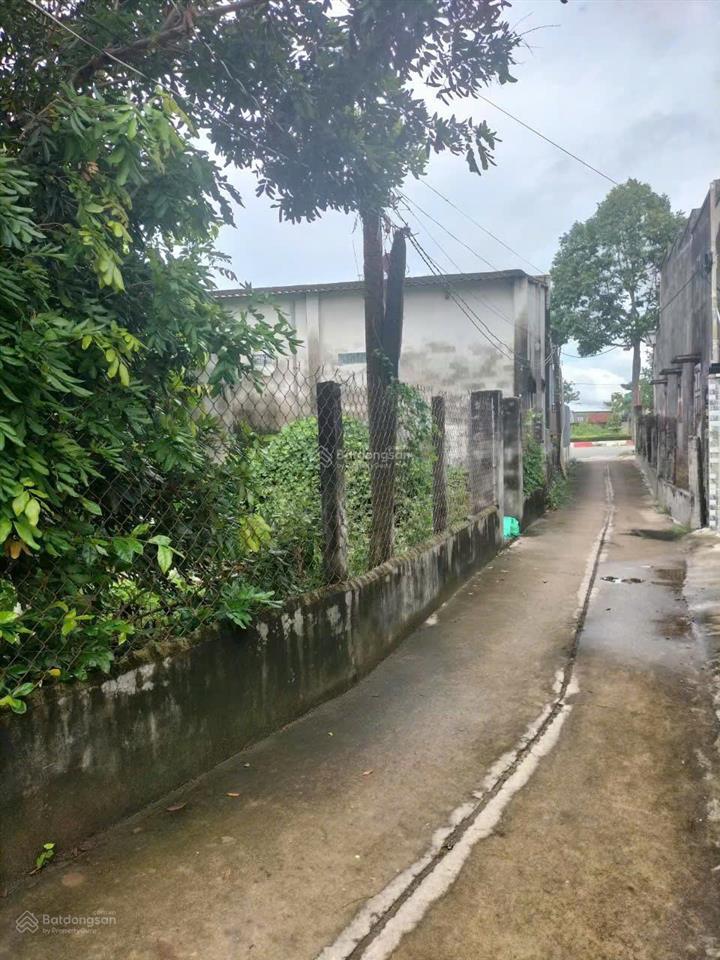 Bán nhà riêng tại thị trấn phước hải, 1,1 tỷ, 216 m2, hàng hiếm tại giá siêu hời