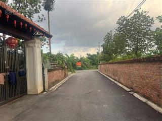 Siêu phẩm ngọc động đa tốn, gia lâm