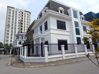 Cho thuê biệt thự ở đại mỗ, nam từ liêm, hà nội. dt 230m2x3 tầng, mt 30m, nhà đẹp. giá 35 triệu
